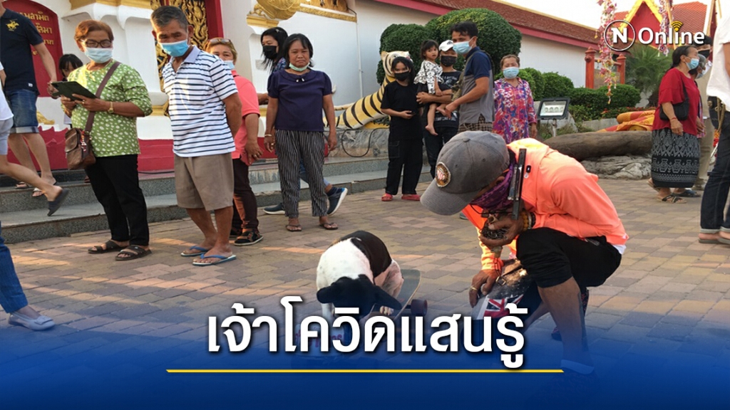 สุดทึ่ง!เจ้าโควิดสุนัขแสนรู้ โชว์ลีลาเล่นสเก็ตบอร์ดผาดโผน