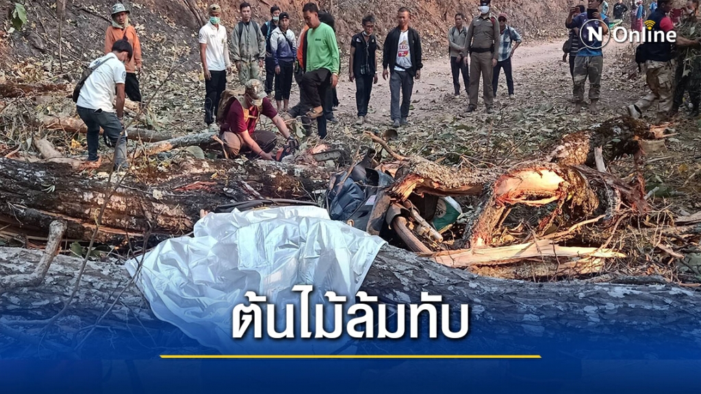 สลด!ไฟป่าทำต้นไม้ใหญ่ล้มทับ อดีต ผญบ.-เมีย