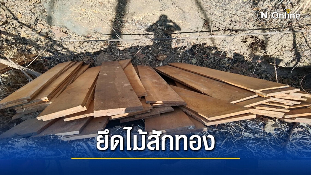 สนธิกำลังยึดไม้สักทองซุกในป่า สนธิกำลังยึดไม้สักทองซุกในป่า