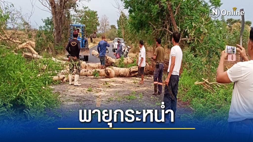 พายุฤดูร้อนพัดกระหน่ำโนนสูง ต้นไม้ใหญ่หักโค่น พายุฤดูร้อนพัดกระหน่ำโนนสูง ต้นไม้ใหญ่หักโค่น