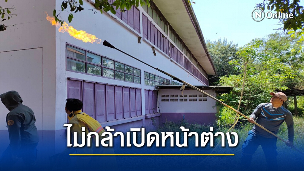 ครูสุดทน ฝูงแตนทำรังกว่า 20 รัง ต่อยนักเรียนบาดเจ็บ
