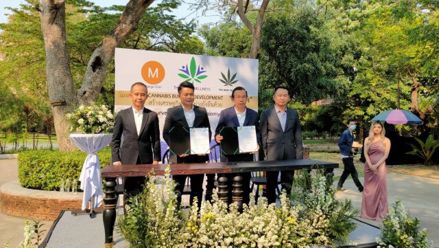 ผลักดัน"กัญชง"พืชเศรษฐกิจ-ลดปัญหาไฟป่าหมอกควัน