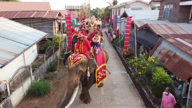 จัดใหญ่บุญผะเหวด นำช้าง9เชือก แห่พระอุปคุต