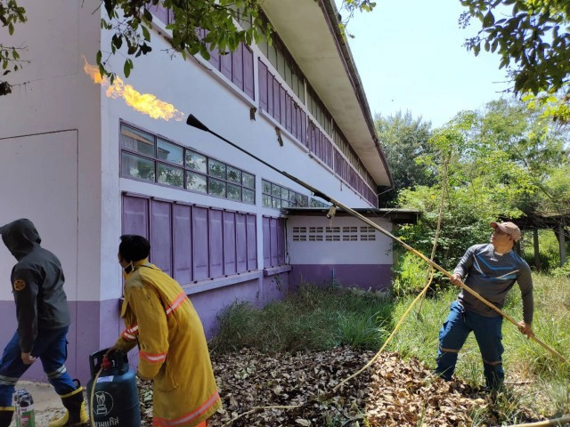 ครูสุดทน ฝูงแตนทำรังกว่า 20 รัง ต่อยนักเรียนบาดเจ็บ