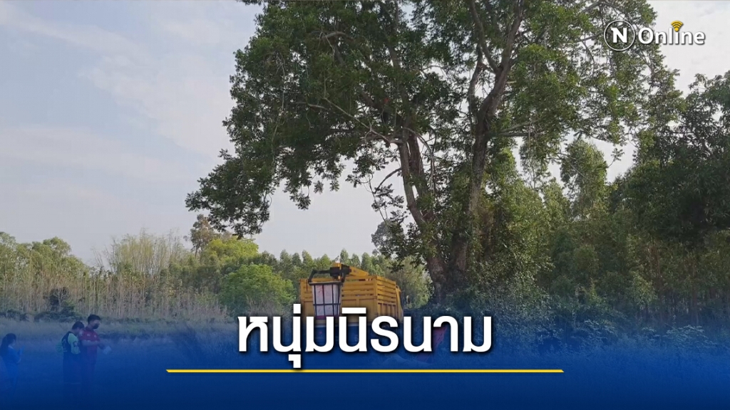 หนุ่มนิรนามปีนต้นไม้ผูกคอตายสูง4เมตรกลางทุ่งนา หนุ่มนิรนามปีนต้นไม้ผูกคอตายสูง4เมตรกลางทุ่งนา