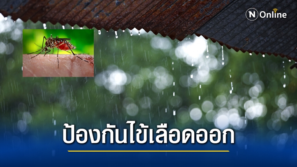 กรมควบคุมโรค แนะสำรวจ-กำจัดแหล่งเพาะพันธุ์ยุงลายหลังฝนตกจากพายุฤดูร้อน ป้องกันโรคไข้เลือดออก
