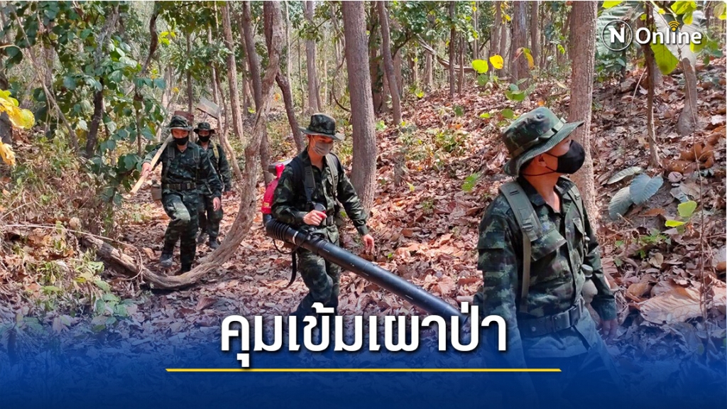 ภาคเหนือเผาหนักควันพิษคลุมเมือง
