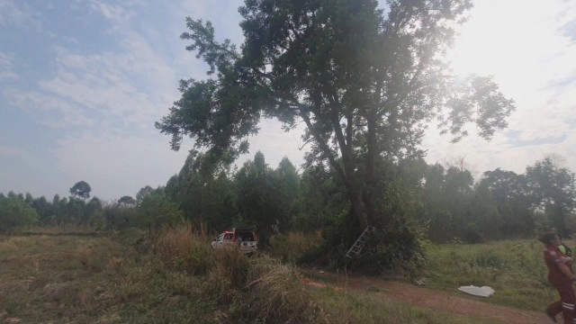 หนุ่มนิรนามปีนต้นไม้ผูกคอตายสูง4เมตรกลางทุ่งนา