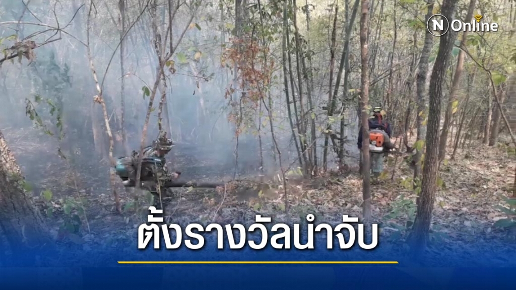 ตั้งรางวัลนำจับลอบเผาป่า ตั้งรางวัลนำจับลอบเผาป่า