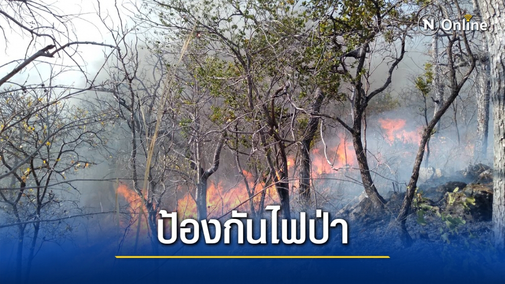 ทส. เร่งป้องกันไฟป่าแก้ปัญหาหมอกควันภาคเหนือ