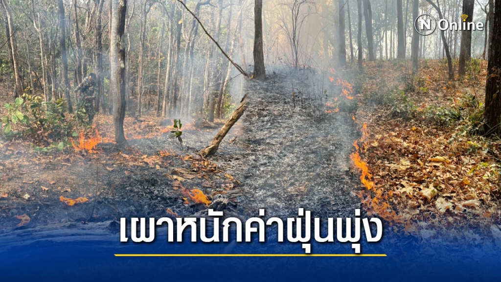 เผาหนักชาวบ้านสุดทนแสบจมูก-แสบตา เผาหนักชาวบ้านสุดทนแสบจมูก-แสบตา