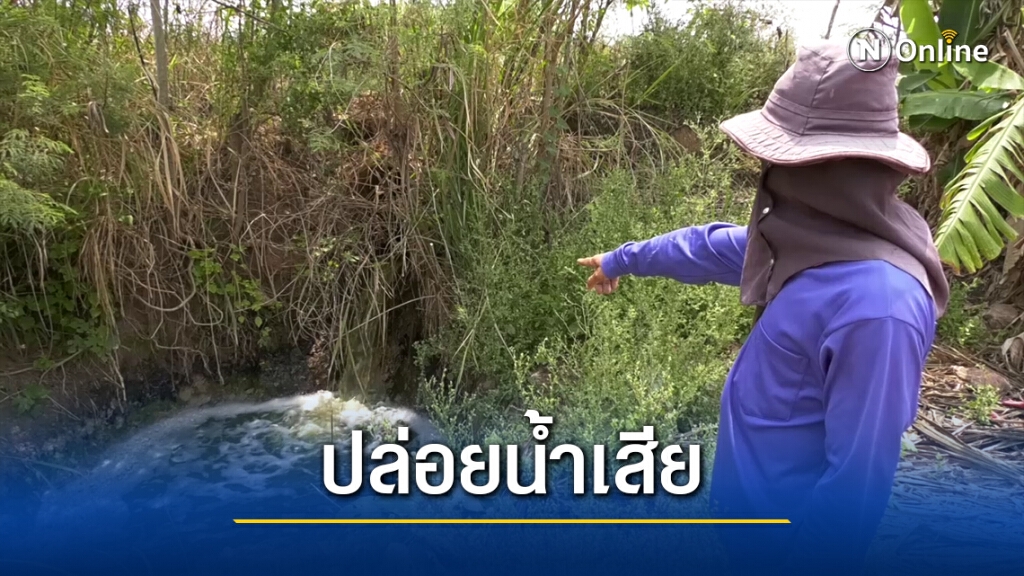 โวย โรงงานแป้งมัน ลักลอบปล่อยน้ำเสียลงห้วยลำเชียงไกร