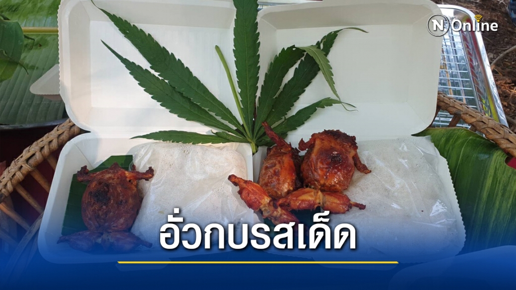 คึกคักตลาดนัดกัญชานครพนม คึกคักตลาดนัดกัญชานครพนม