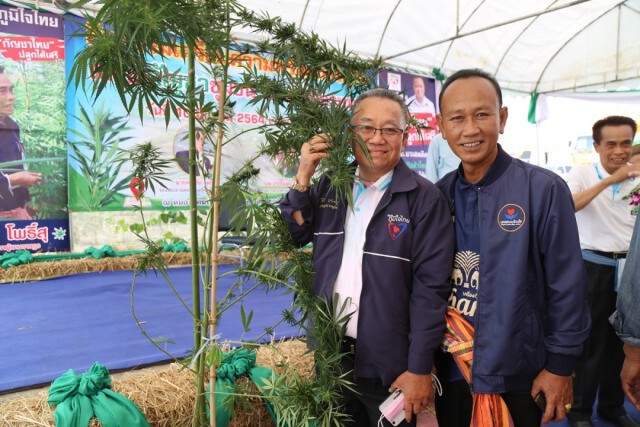 คึกคักตลาดนัดกัญชานครพนม