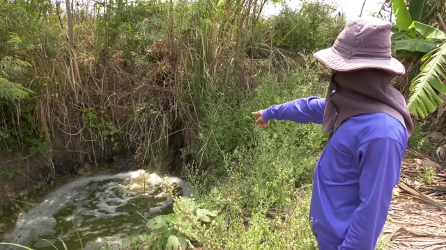 โวย โรงงานแป้งมัน ลักลอบปล่อยน้ำเสียลงห้วยลำเชียงไกร