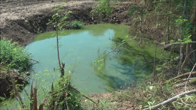 โวย โรงงานแป้งมัน ลักลอบปล่อยน้ำเสียลงห้วยลำเชียงไกร