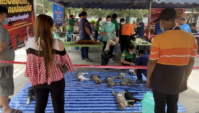 แห่นำสัตว์เลี้ยงฉีดวัคซีนป้องกันโรคพิษสุนัขบ้า