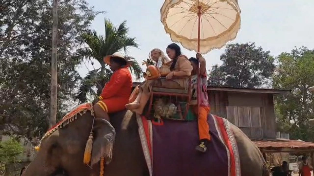 สีสันงานบวชช้างแห่นาค เพื่อนสาวสองแต่งแฟนตาซีเชิ้งคึกคัก