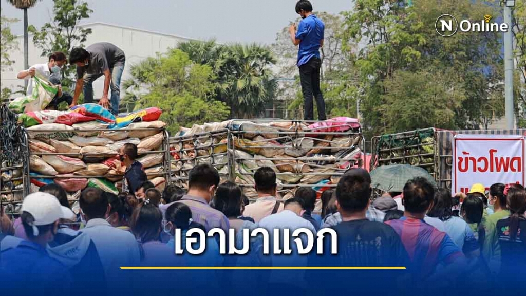 แจกข้าวโพดหวาน 50 ตันหลังราคาตกต่ำ แจกข้าวโพดหวาน 50 ตันหลังราคาตกต่ำ