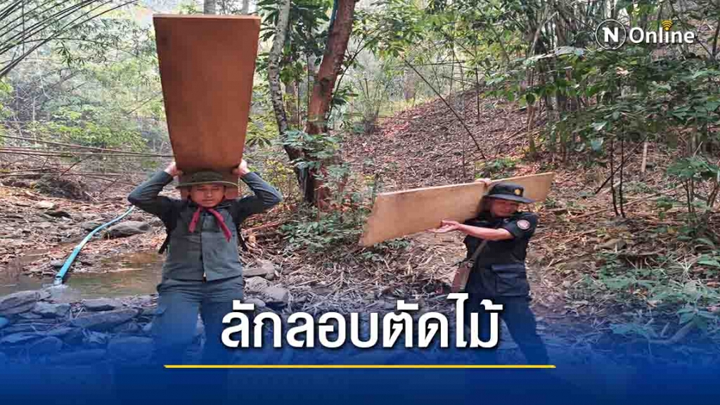 จับไม้สักทองในป่าสงวน-ไม่พบผู้กระทำผิด