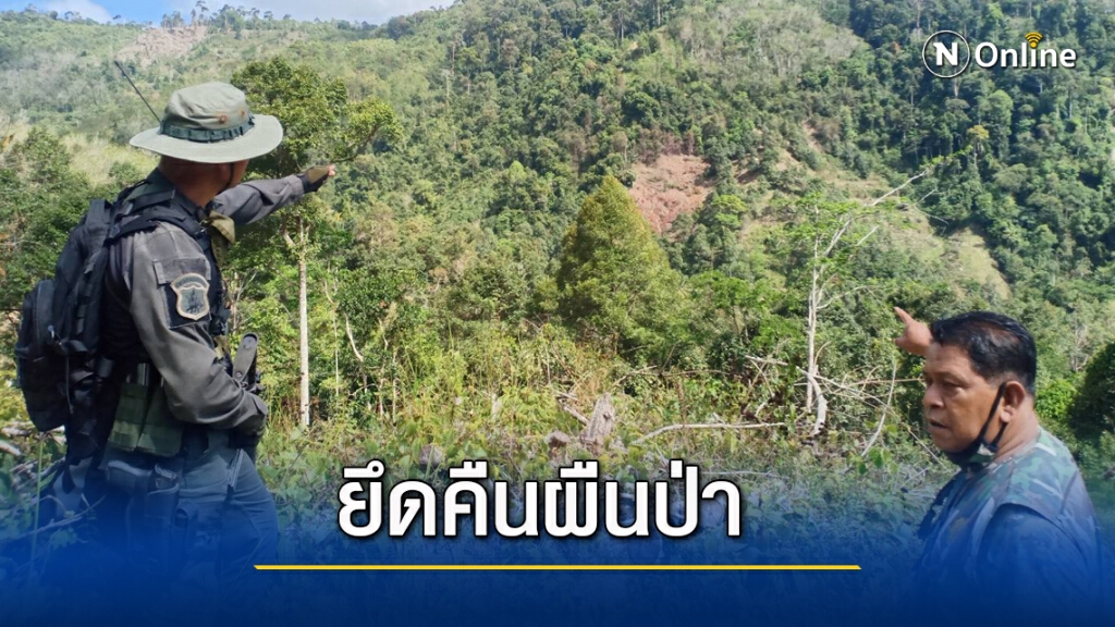 ตรวจยึดคืนผืนป่าต้นน้ำเหนือเขื่อนบางลาง หลังถูกบุกรุก