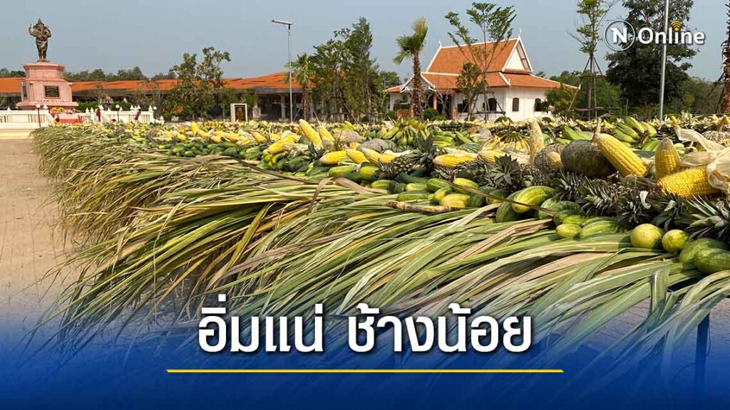 สีสัน! ช้างน้อย 3 ขวบกระโดดดีใจได้กินอาหารโต๊ะจีนในวันช้างไทย 