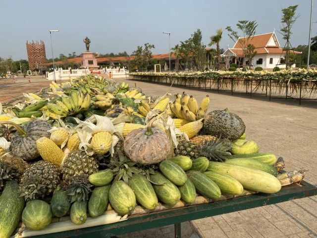 สีสัน! ช้างน้อย 3 ขวบกระโดดดีใจได้กินอาหารโต๊ะจีนในวันช้างไทย 