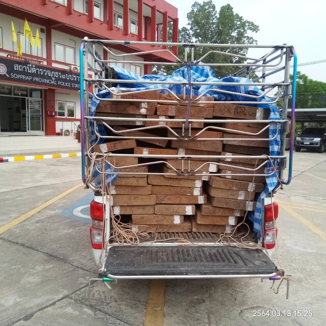 จับหนุ่มขนไม้เถื่อนส่งขายลาว