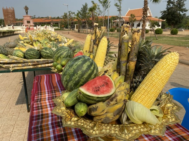 สีสัน! ช้างน้อย 3 ขวบกระโดดดีใจได้กินอาหารโต๊ะจีนในวันช้างไทย 