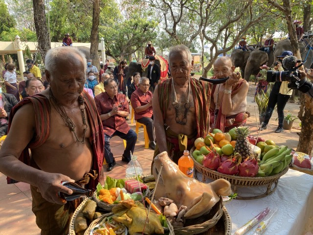 สีสัน! ช้างน้อย 3 ขวบกระโดดดีใจได้กินอาหารโต๊ะจีนในวันช้างไทย 