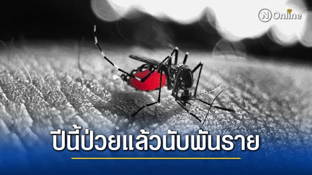 กรมควบคุมโรคเตือน ปชช.ระวังป่วย "ไข้เลือดออก" หลังมีฝนตกหลายพื้นที่