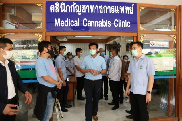 "สาธิต" หนุนการเพิ่มมูลค่าสมุนไพร กัญชา กัญชง ทางการแพทย์
