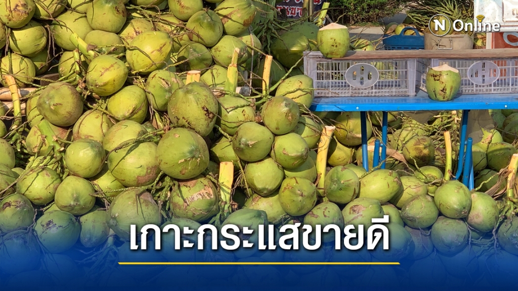 ไม่มีคนจ้างพระเอกหมอลำเปลี่ยนอาชีพขายมะพร้าวเกาะกระแสเพิ่มพลังขายดี