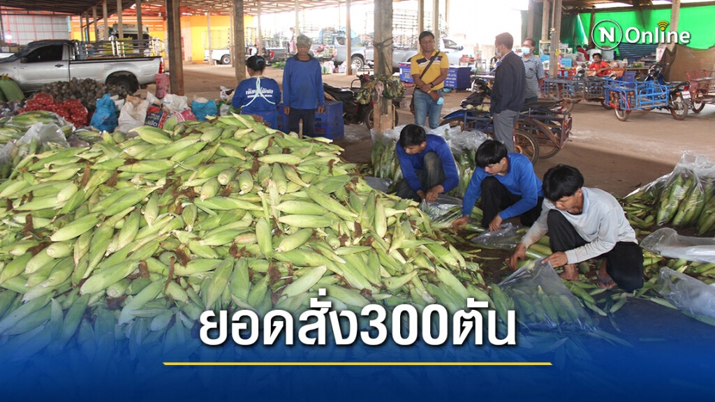 ตลาดข้าวโพดกลับมาคึกคัก มีออร์เดอร์แล้ว 300 ตัน