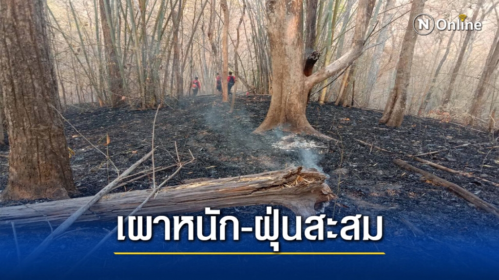 สั่งงดบริหารจัดการเชื้อเพลิงทุกพื้นที่ 7 วัน