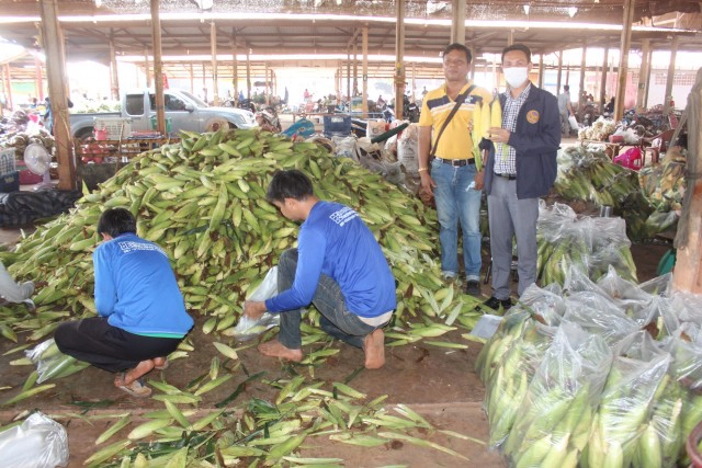 ตลาดข้าวโพดกลับมาคึกคัก มีออร์เดอร์แล้ว 300 ตัน