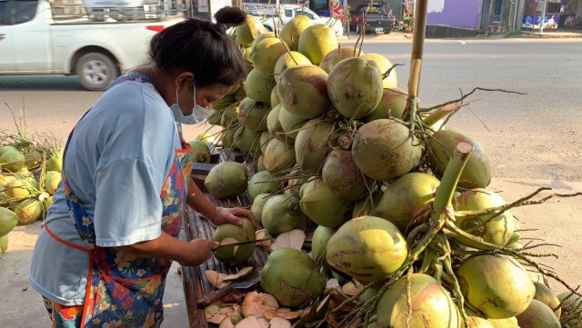 ไม่มีคนจ้างพระเอกหมอลำเปลี่ยนอาชีพขายมะพร้าวเกาะกระแสเพิ่มพลังขายดี