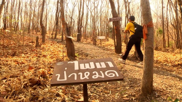 กมธ.สิ่งแวดล้อมเก็บข้อมูล"ไฟป่า"ชุมชนบ้านต้นต้อง