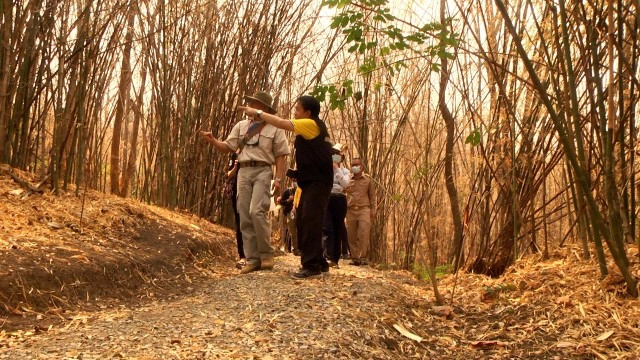 กมธ.สิ่งแวดล้อมเก็บข้อมูล"ไฟป่า"ชุมชนบ้านต้นต้อง
