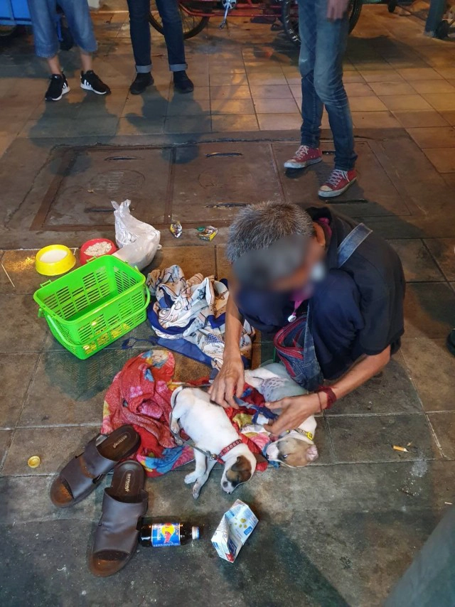 รวบชายเร่ร่อน นำสุนัขนั่งขอทาน อ้างได้เยอะกว่าขอธรรมดา ซื้อมาจากจตุจักรตัวละ 500 บาท