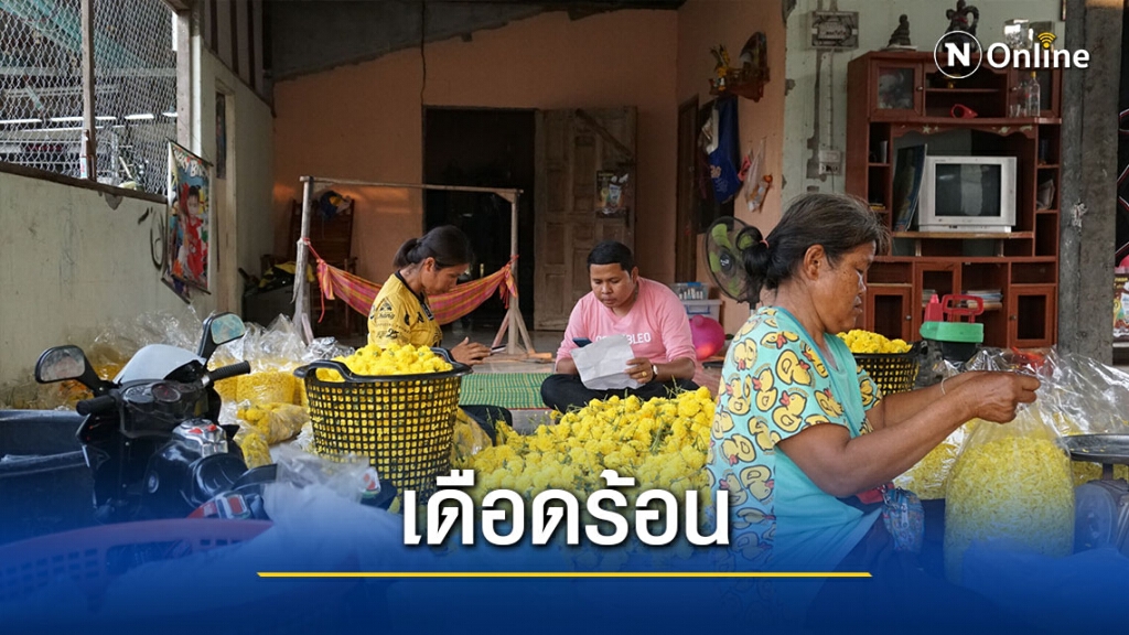 แจ้งจับแม่ค้าคนกลาง หลอกส่งดาวเรืองแสนดอกสุดท้ายไม่จ่ายเงิน