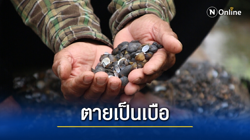 ลำห้วยน้ำเขียวกระทบชีวิตชาวบ้าน สัตว์น้ำและสัตว์เลี้ยง ลำห้วยน้ำเขียวกระทบชีวิตชาวบ้าน สัตว์น้ำและสัตว์เลี้ยง