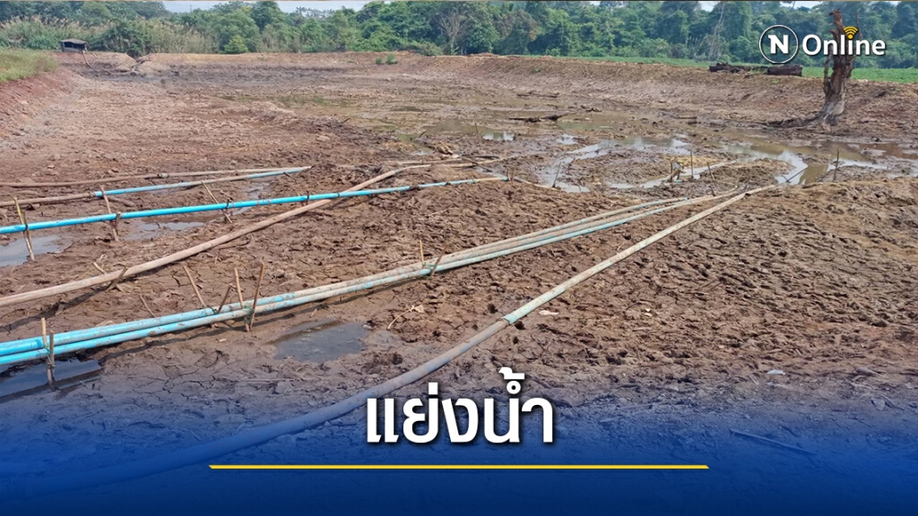 แล้งหนัก-เกษตรกร"พบพระ"แย่งน้ำ แล้งหนัก-เกษตรกร"พบพระ"แย่งน้ำ