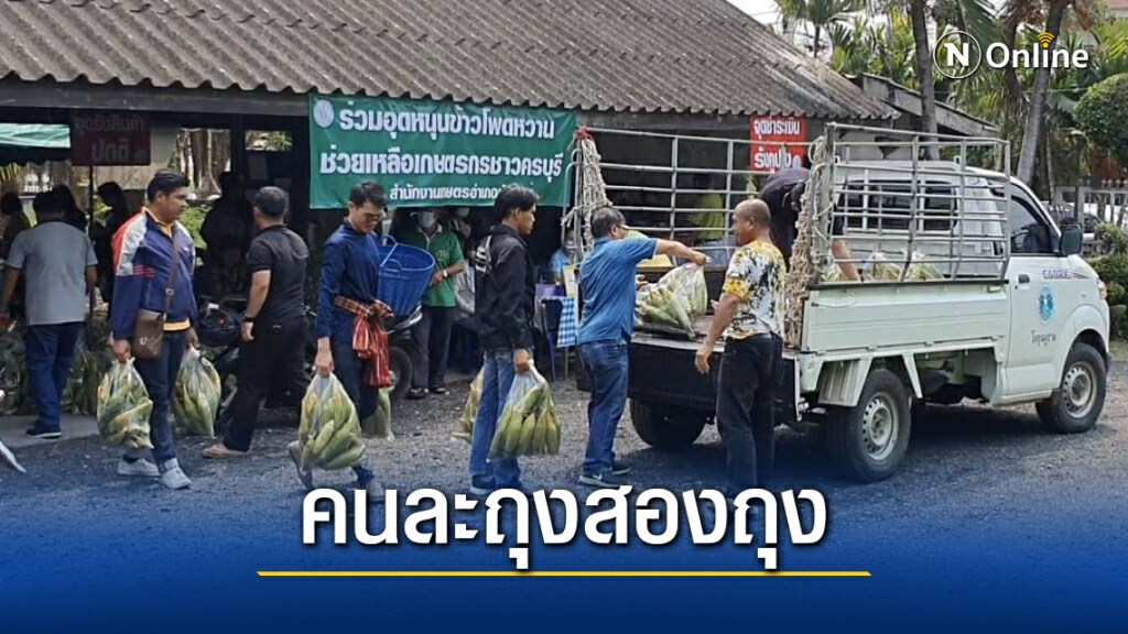 หมดในพริบตา แห่อุดหนุนซื้อข้าวโพดหวาน17ตัน หมดในพริบตา แห่อุดหนุนซื้อข้าวโพดหวาน17ตัน