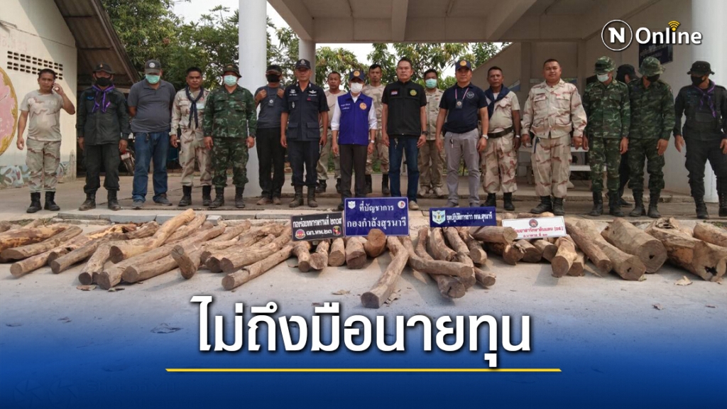 เหิมหนักกลุ่มมอดไม้ลอบขนพะยูงกลางวันแสกๆ
