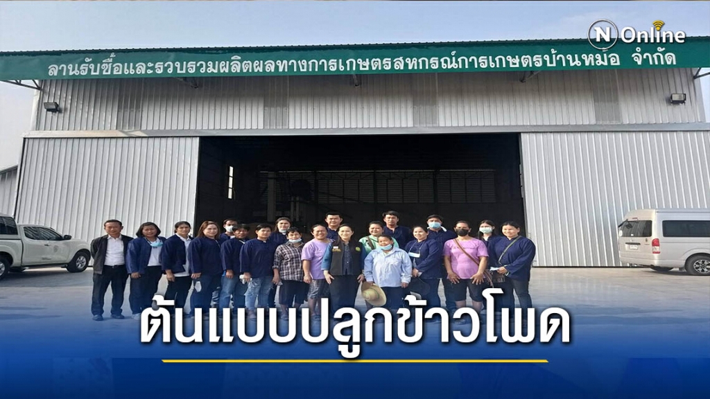 สหกรณ์ฯบ้านหม้อปลูกข้าวโพดหลังนา-แก้แล้ง