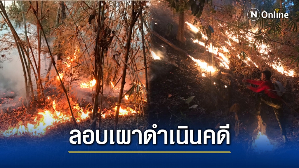 กำชับทุกพื้นที่ค้นหาผู้ลักลอบเผาดำเนินคดี กำชับทุกพื้นที่ค้นหาผู้ลักลอบเผาดำเนินคดี
