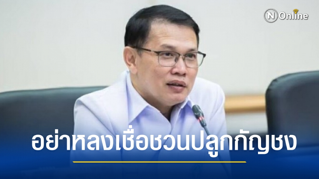 อย.เตือนปชช.อย่าหลงเชื่อชวนปลูกกัญชงเชิงพานิชย์