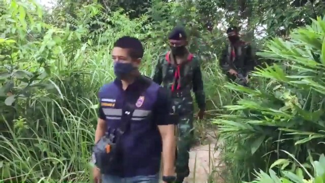 เตือนคนไทยขนพืชกระท่อมในมาเลย์ติดคุก 2 ปี