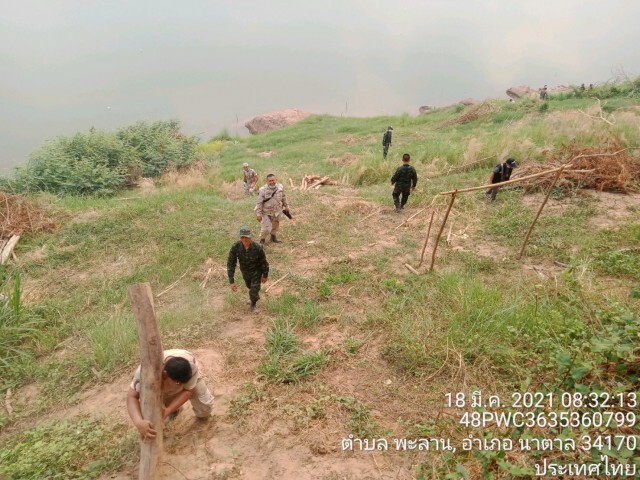 เหิมหนักกลุ่มมอดไม้ลอบขนพะยูงกลางวันแสกๆ